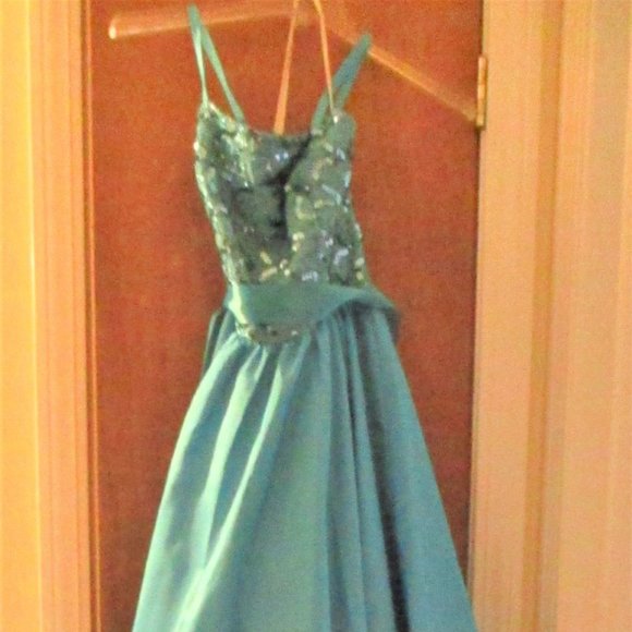 Gorgeous Blue Ball Gown - Picture 9 of 13